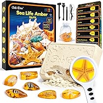 Amazon.com: 4M 68555 